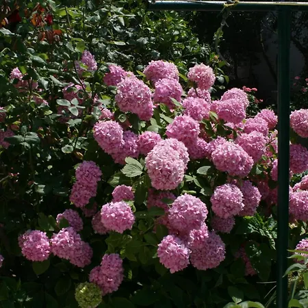 With A Parking Space Podgora, Makarska - 6645