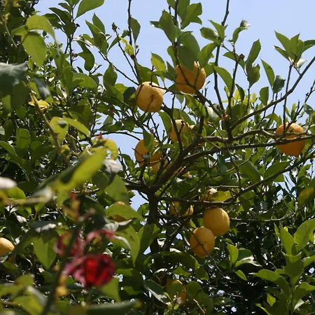 Apartman With A Parking Space Podgora, Makarska - 6645 *