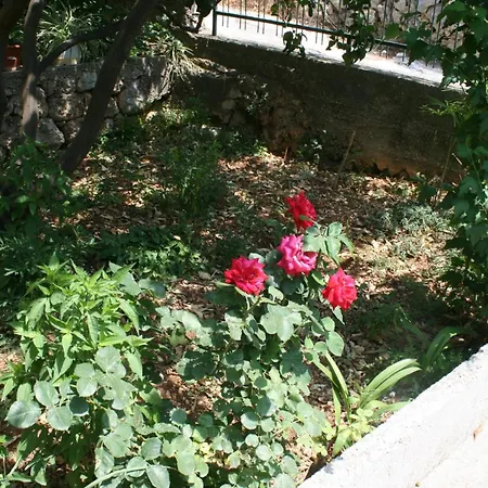 With A Parking Space Podgora, Makarska - 6645 *