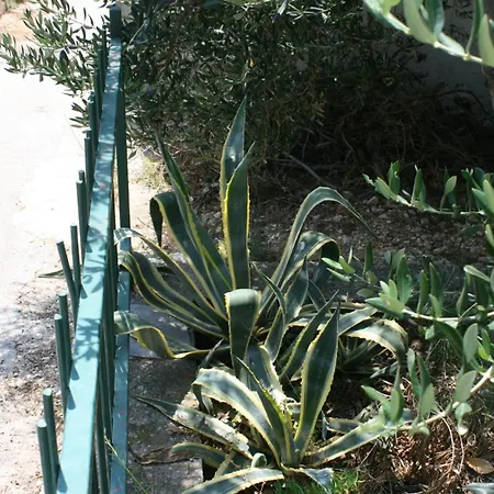 With A Parking Space Podgora, Makarska - 6645